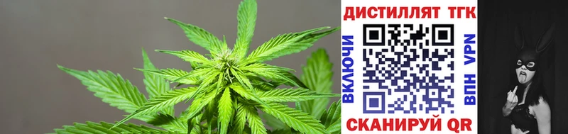 закладка  Муром  Дистиллят ТГК THC oil 